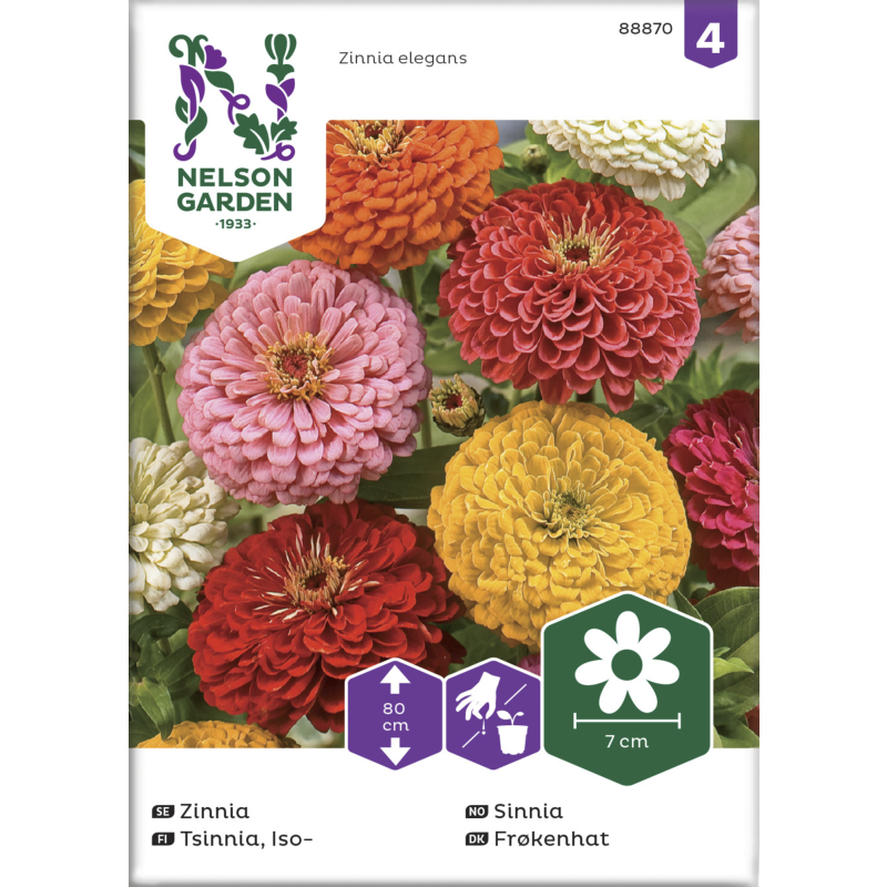 Isotsinnia siemen Nelson Garden Basic väriseos