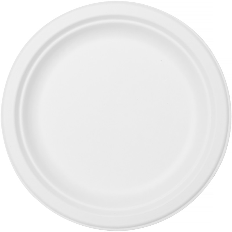 Kertakäyttölautanen Biopak 22 cm 10 kpl