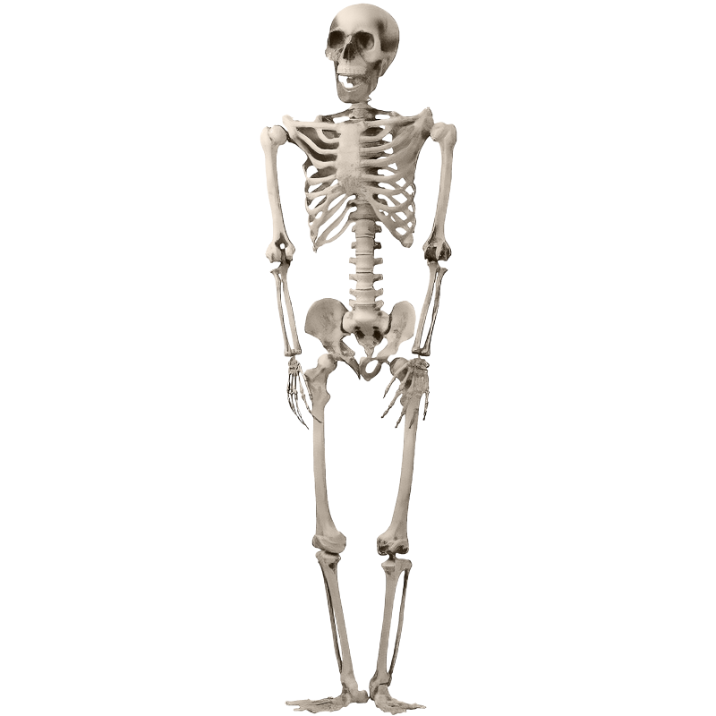 Koristeluuranko Happy Halloween 160 cm