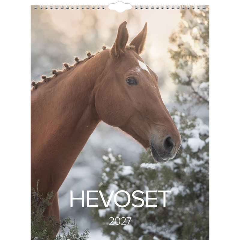 Seinäkalenteri Burde 2027 Hevoset