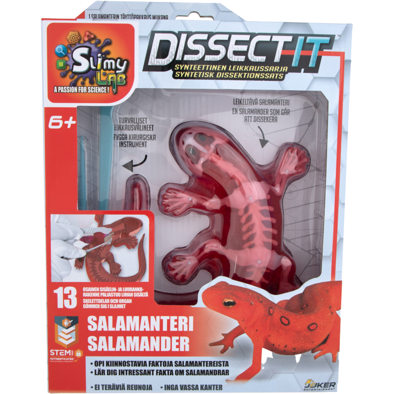Dissect it Salamanteri