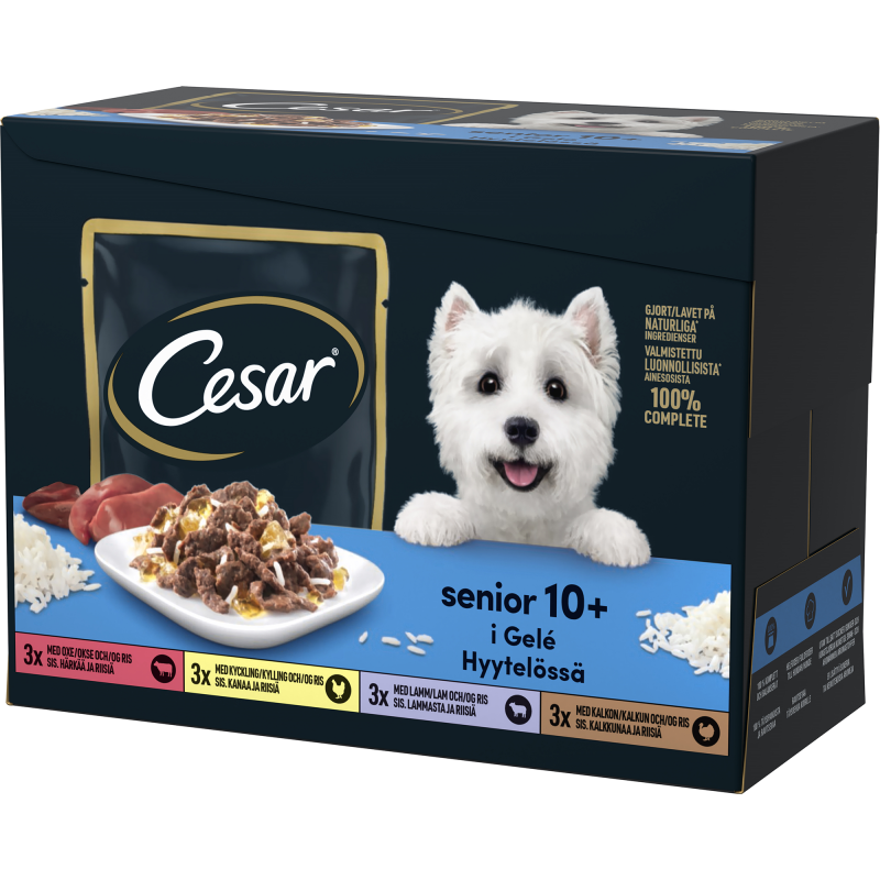Koiranruoka Cesar 12 x 100 g Senior Annospussilajitelma hyytelössä