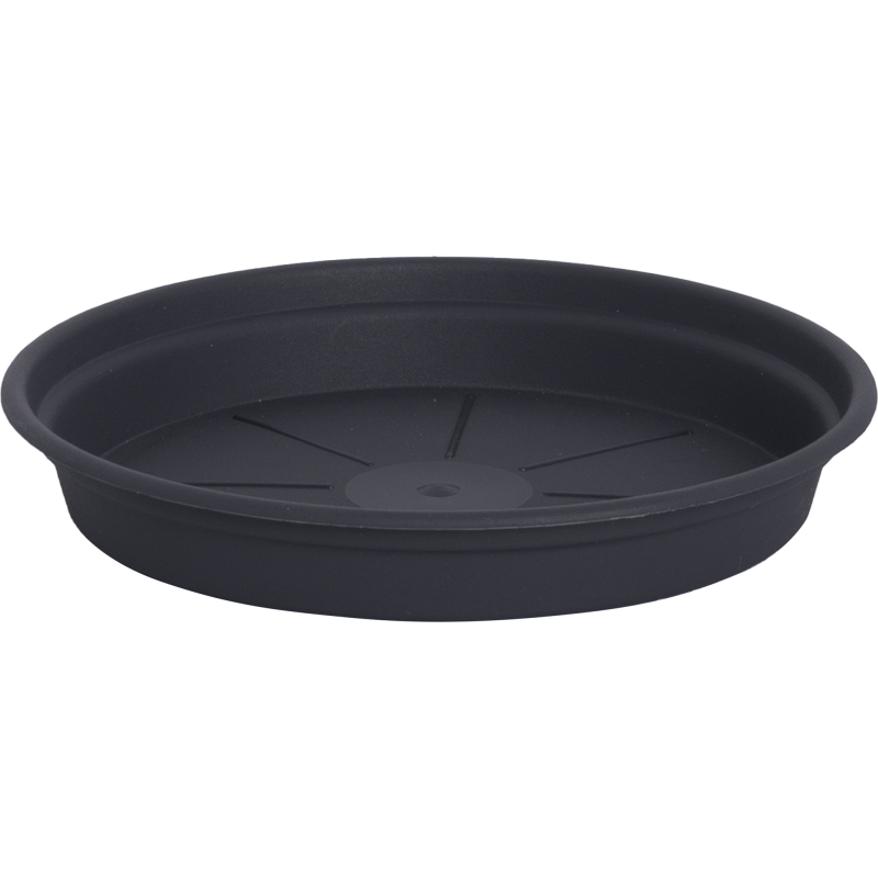 Alunen Gardenico Camelie 15 cm