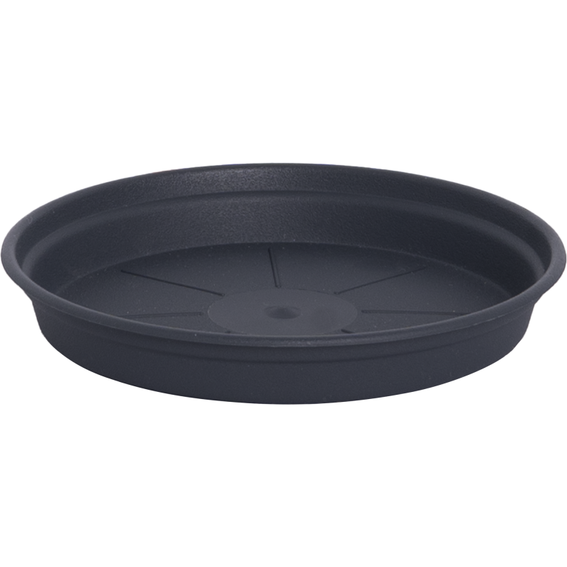 Alunen Gardenico Camelie 10 cm