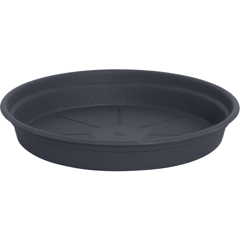 Alunen Gardenico Camelie 12 cm