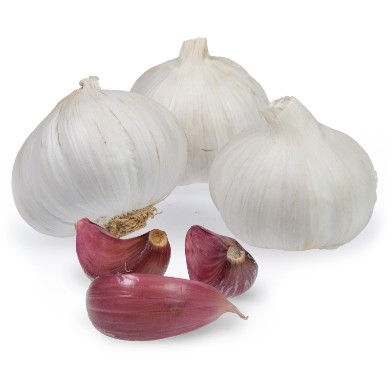 Valkosipuli Golden Selection 2-pack Morado