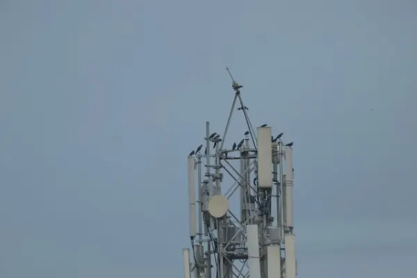 Føroya Tele ætlar at bjóða 5G í Hetlandi og Orknoyggjum