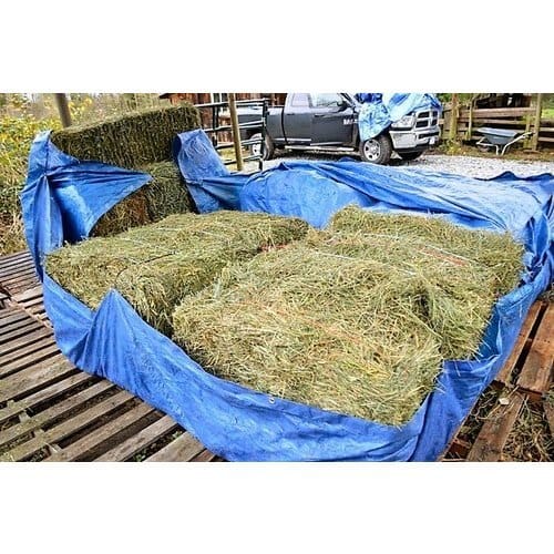 Agriculture & Crop Protection
