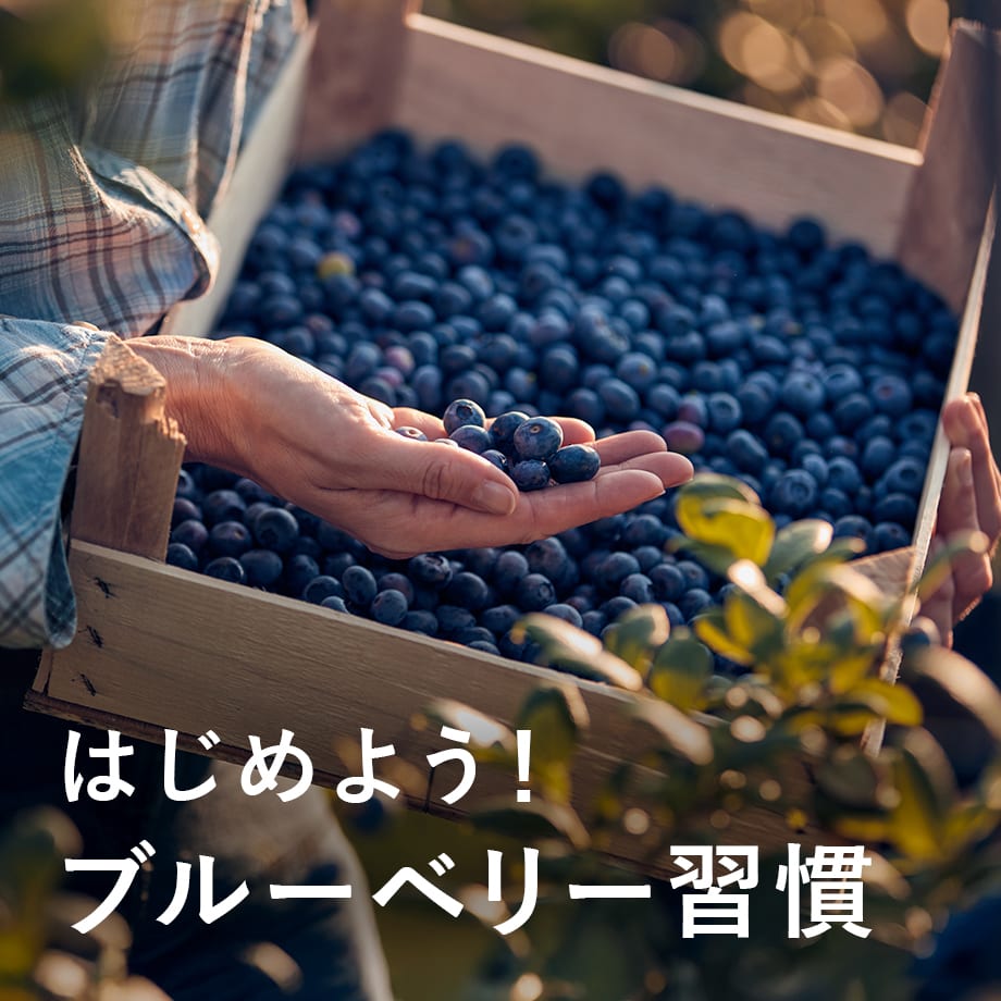 毎日続ける、スーパーフードのある暮らし