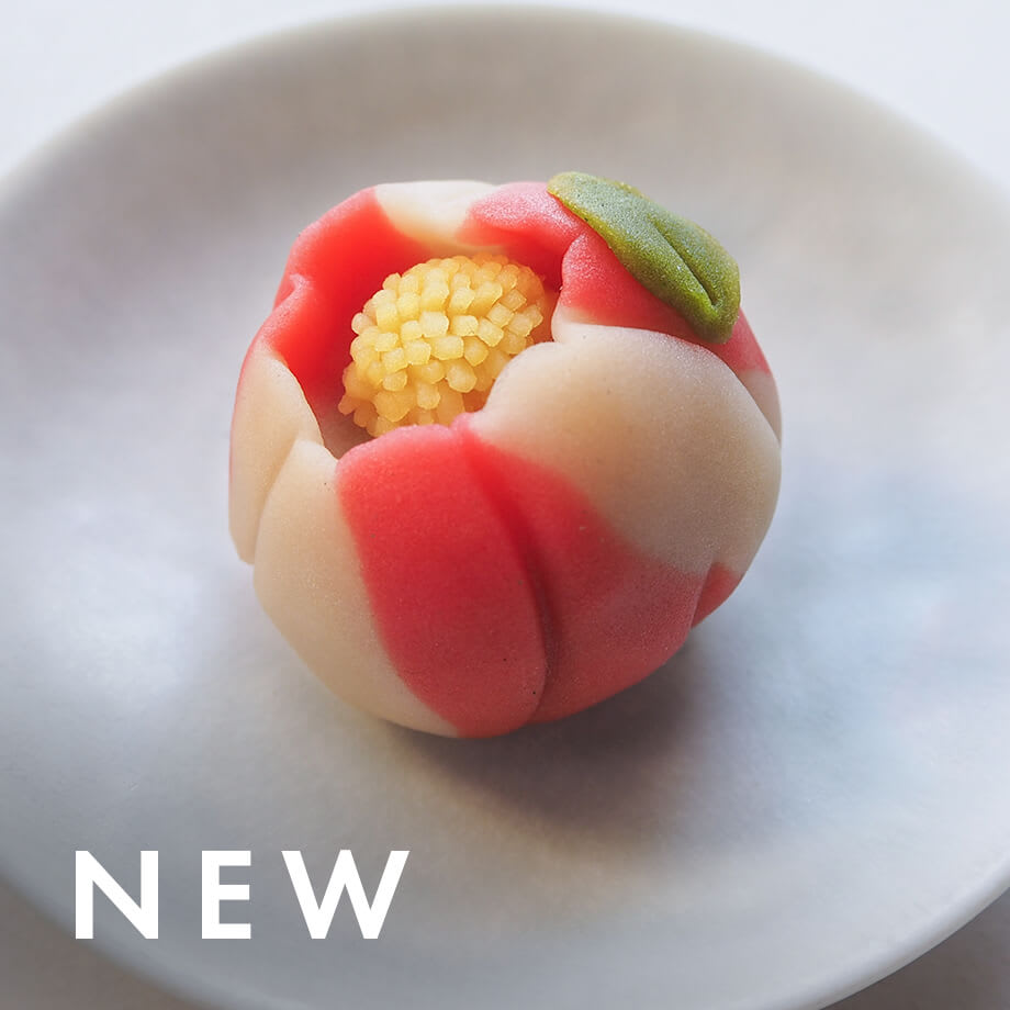 【1/5】新着レシピ公開中!