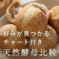 作りたいパンに合う天然酵母が見つかる!天然酵母 徹底比較　