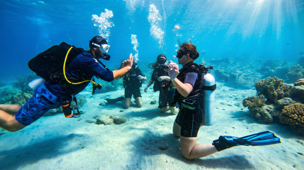 Four scuba divers communicate with hand signals above a sandy seabed beside coral.