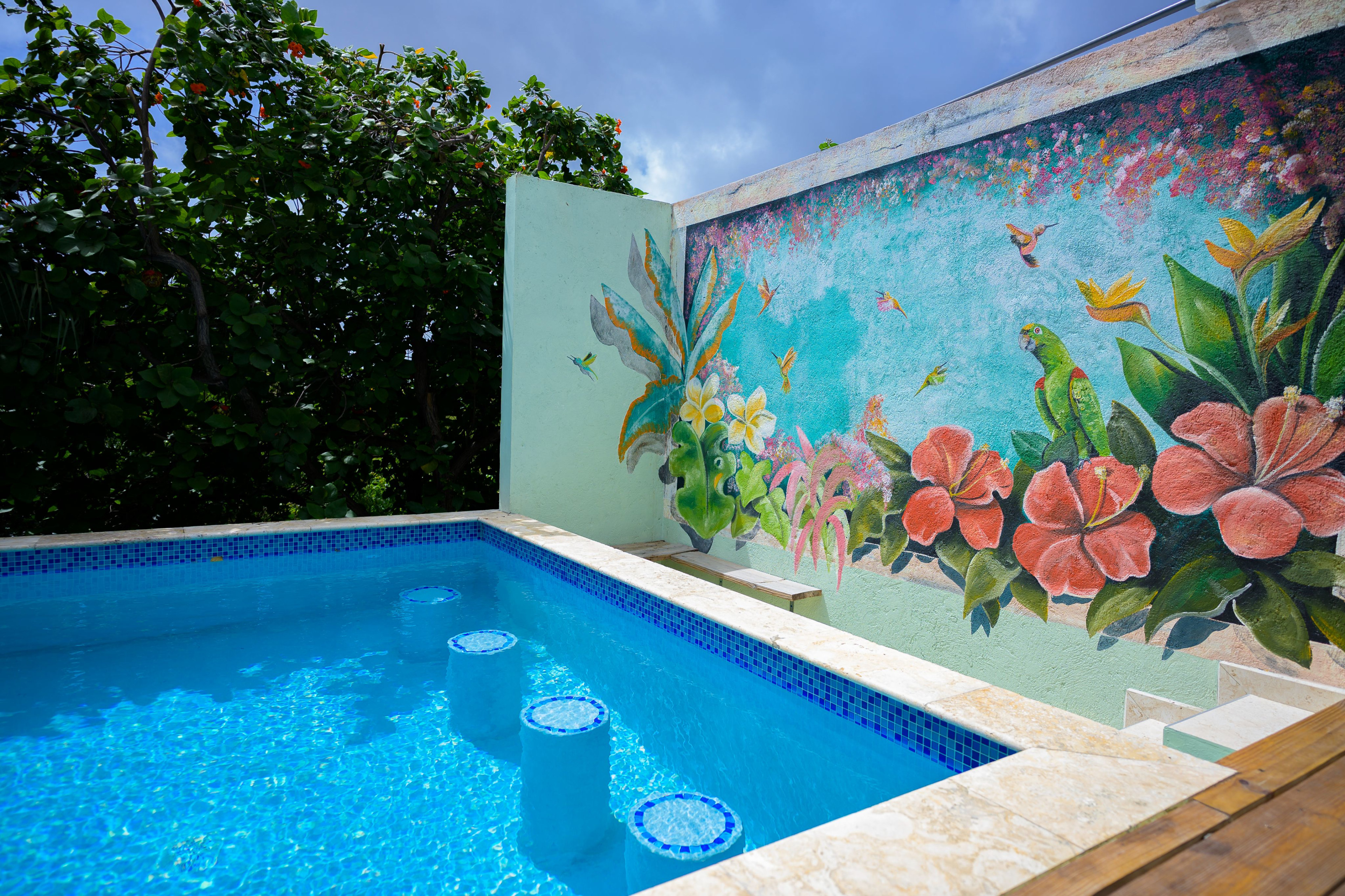 Dushi Hideaway — The Swim-Up Bar.