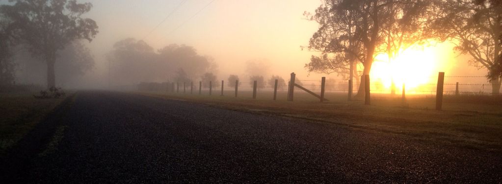 Cold foggy morning