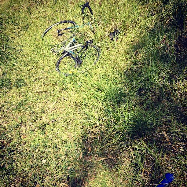 Bike in the grass