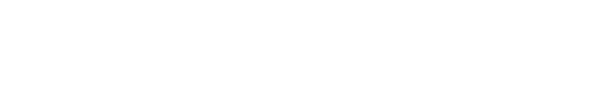 Section description