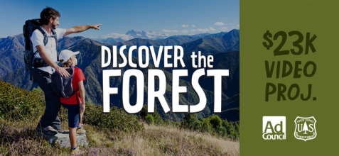 Discover the Forest Video Project