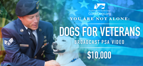 You Are Not Alone: Service Dogs for Veterans Broadcast PSA