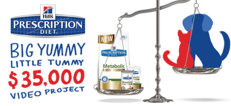 Hill´s Pet Nutrition Big Yummy, Little Tummy Video Project 