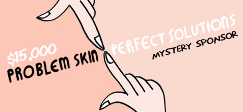 Problem Skin Perfect Solutions Project