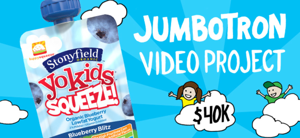 The Stonyfield YoKids Video Project
