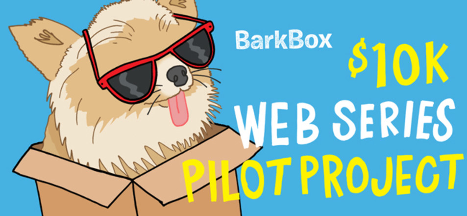 BarkBox Web Series Pilot Project