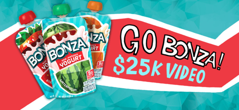 Go Bonza! Video Project