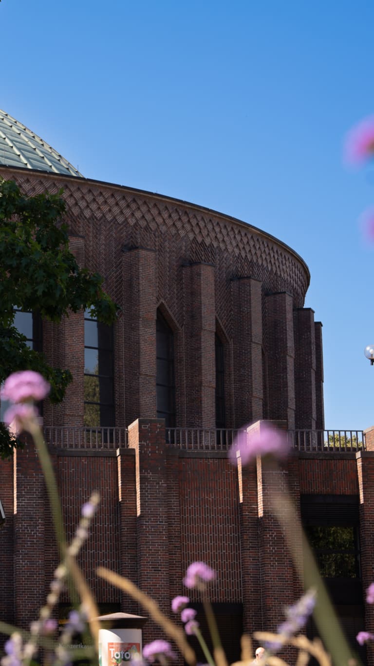 Wildblumen vor der Tonhalle