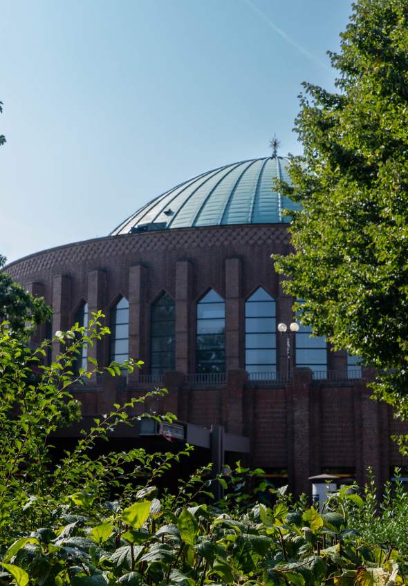 für künstlerisches Projekt