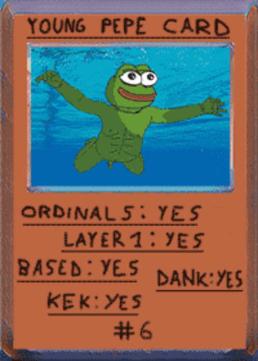 Image 1729ee7cd415eb4435898c7ff554822eac3c6146b49391d44fecced696f3e100