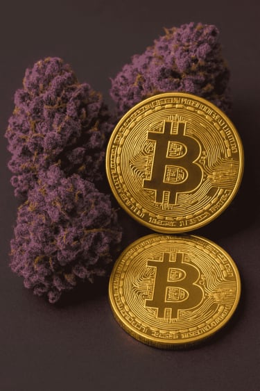 Image d9e5d2c0efdd5768e8a80587b9a8c3c49e45116de9ec8df5b66a2cb85d61a769