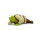 Shrek