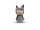 hero-4