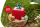 -20% sur tout le site Tonies !