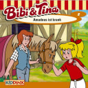 Bibi & Tina – 2 – Amadeus ist krank