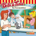 Bibi & Tina – 67 – Das Tierarztpraktikum