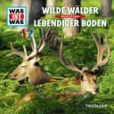 Nat Geo – 54 – Wilde Wälder / Lebendiger Boden Nat Geo – 54 – Wilde Wälder / Lebendiger Boden