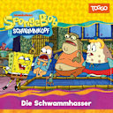 SpongeBob Schwammkopf – Die Schwammhasser (Folgen: 211-213) SpongeBob Schwammkopf – Die Schwammhasser (Folgen: 211-213)