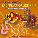 The little snail Monika Little House – 9 – Warum weben Spinnen Netze?