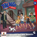 TKKG Junior – 18 – Stimmen aus dem Jenseits
