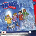 TKKG Junior – 14 – Eisige Diamanten