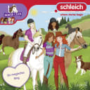 Schleich Horse Club – 24 – Folge 24: Ein magischer Ring Schleich Horse Club – 24 – Folge 24: Ein magischer Ring