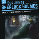 Der junge Sherlock Holmes – 7 – Die Katzen vom Crystal Palace
