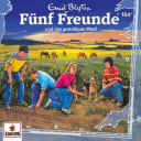The Famous Five – 164 – und das gestohlene Pferd The Famous Five – 164 – und das gestohlene Pferd