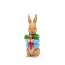 The Peter Rabbit Collection
