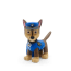 Paw Patrol