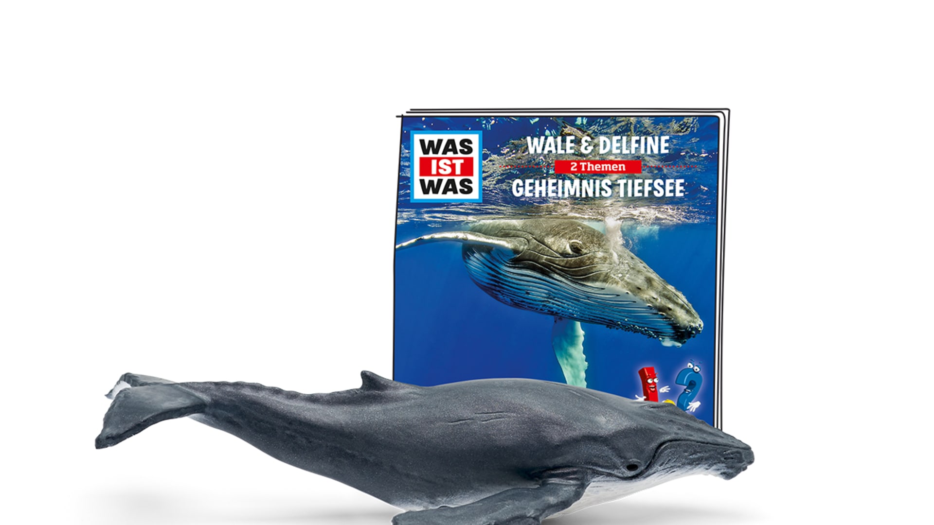 Produktbild: Was ist Was – Wale und Delfine
