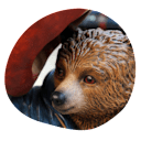 This Is Paddington