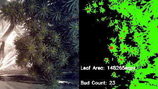 GreenThumb Timelapse