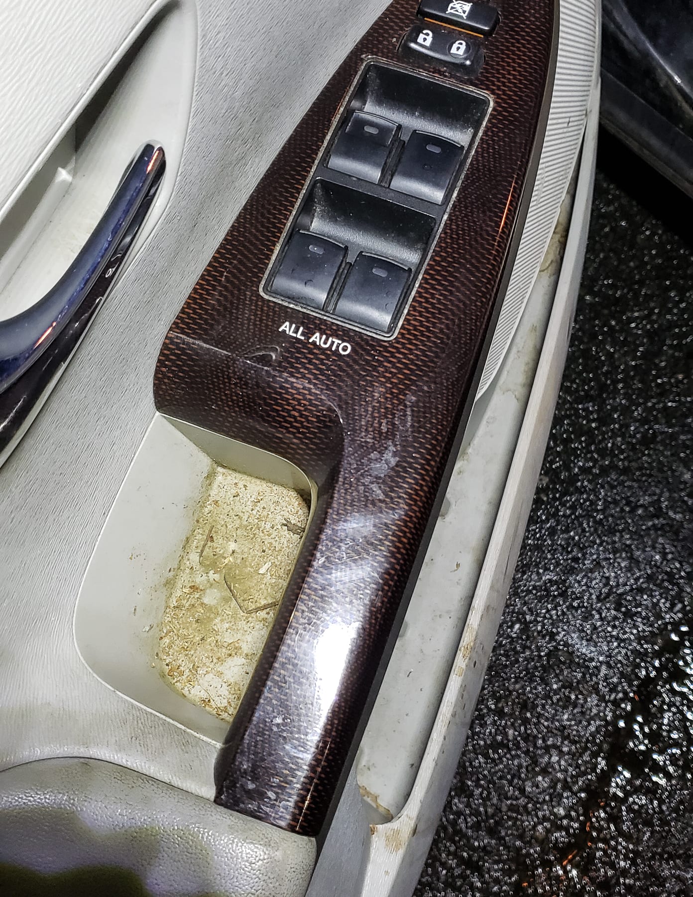 09 Venza - Mold-180247